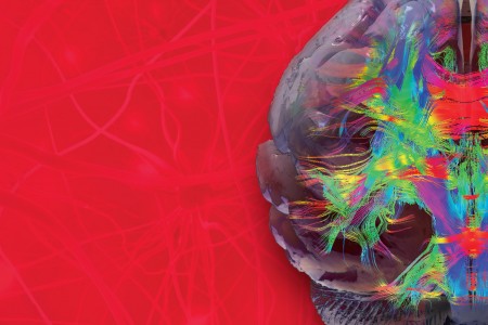 Unraveling Secrets of Brain, Biology and Behavior