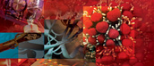 2012 Annual Report