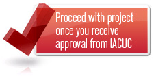 Requires IACUC Review