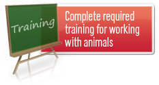 Required and Optional Training