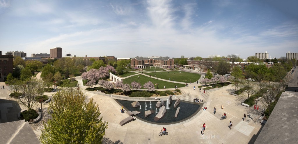 City Campus Spring Photo
