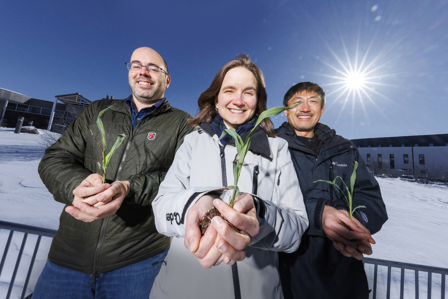 Helping crops survive cold snaps