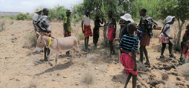 donkey herd owners in Kenya