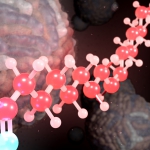 molecular structure of palmitoleate