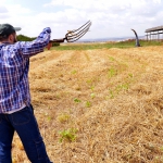 man holding pitchfork in field