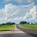 rural road flanked by crops