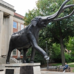 Archie outside Morrill Hall