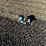 aerial shot of corn harvest