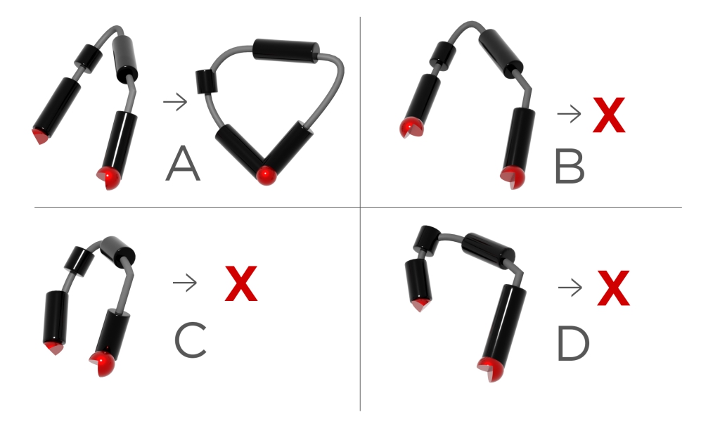 Graphic of RNA motifs