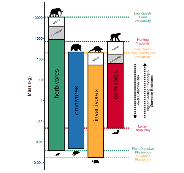 figure showing relationship between diets and size among mammals