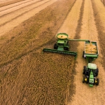 soybean harvest