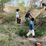 students chaining and dragging out trees