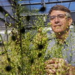 Edgar Cahoon with camelina