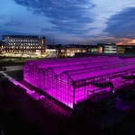 Greenhouses at dusk