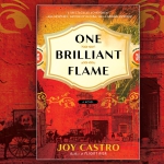 "One Brilliant Frame" book cover