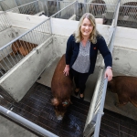 Amy Desaulniers with pigs