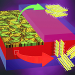 rendering of polymer film