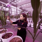 Tala Awada with plants in greenhouse