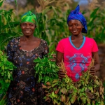 two African farmers in field