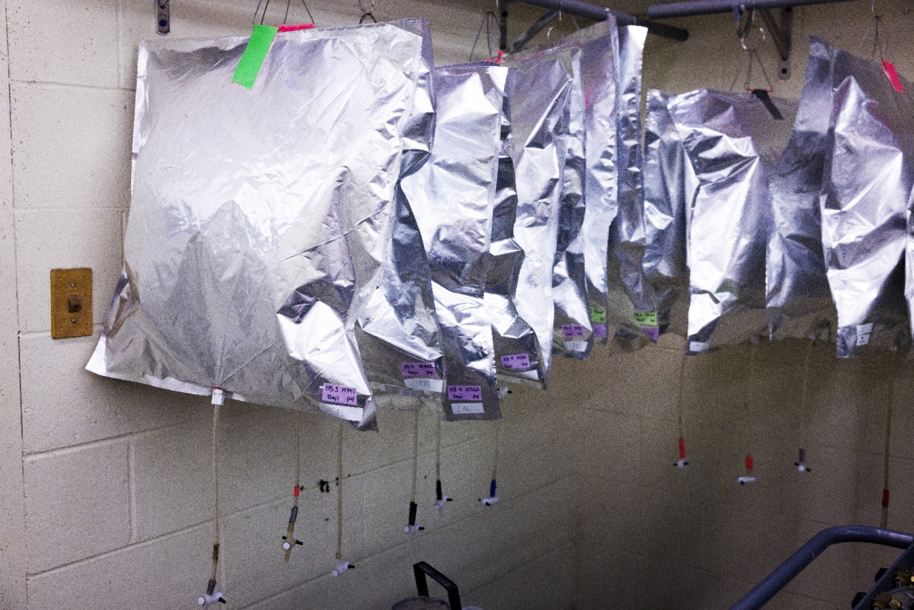 bags of air samples hanging in lab