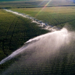 center pivot irrigation system watering crops