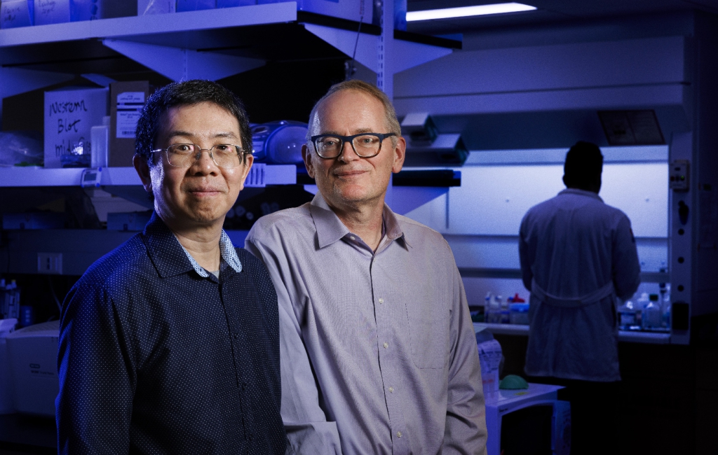 Jiantao Guo and Janos Zempleni posing in lab