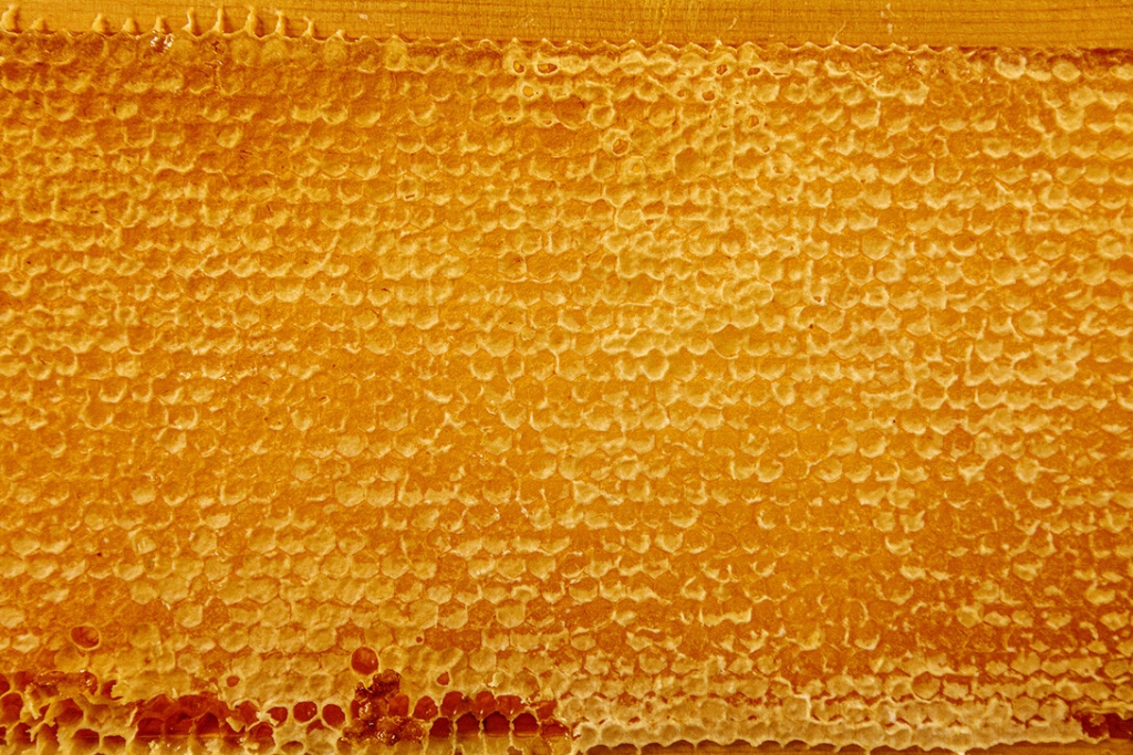 honeycomb