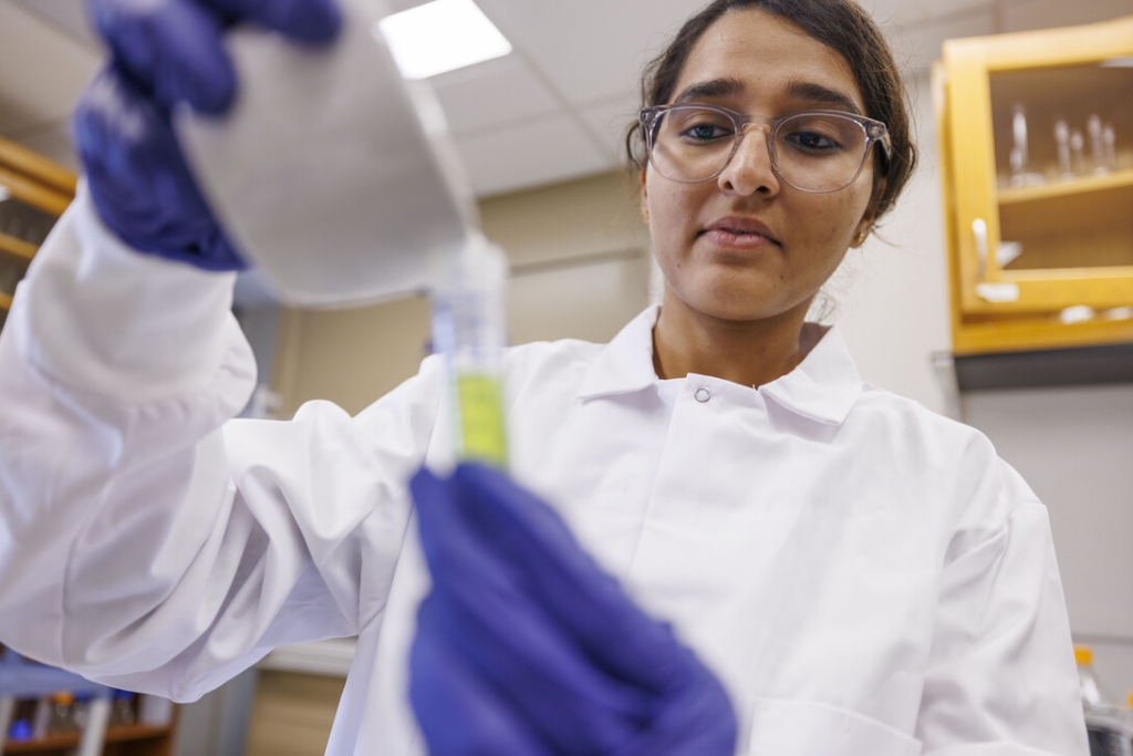 Nikhitha Gangavarapu with wheat plants in lab