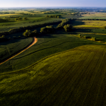 farm fields aerial