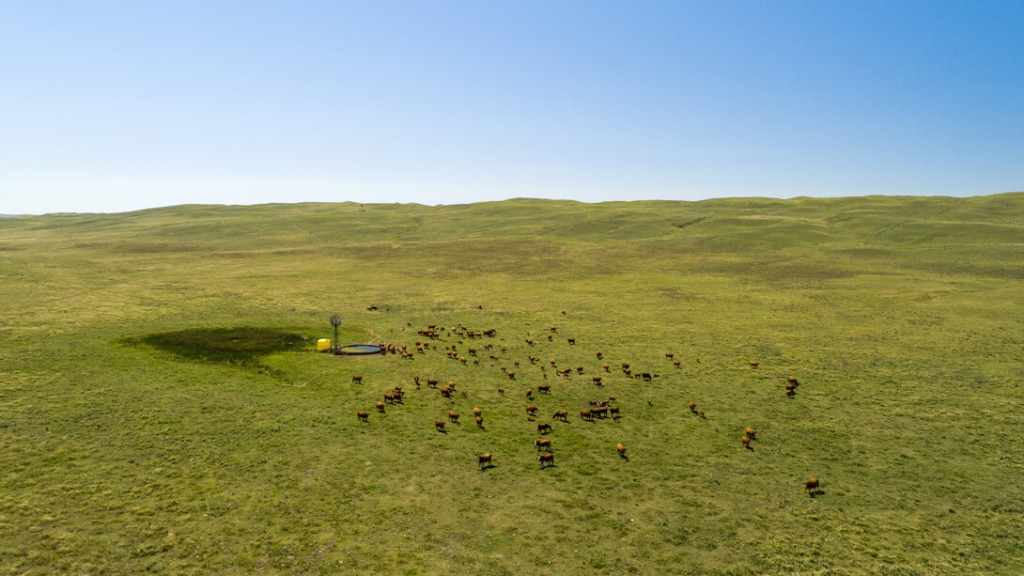 Nebraska's Sandhills