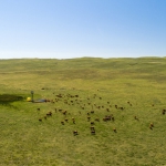 Nebraska's Sandhills