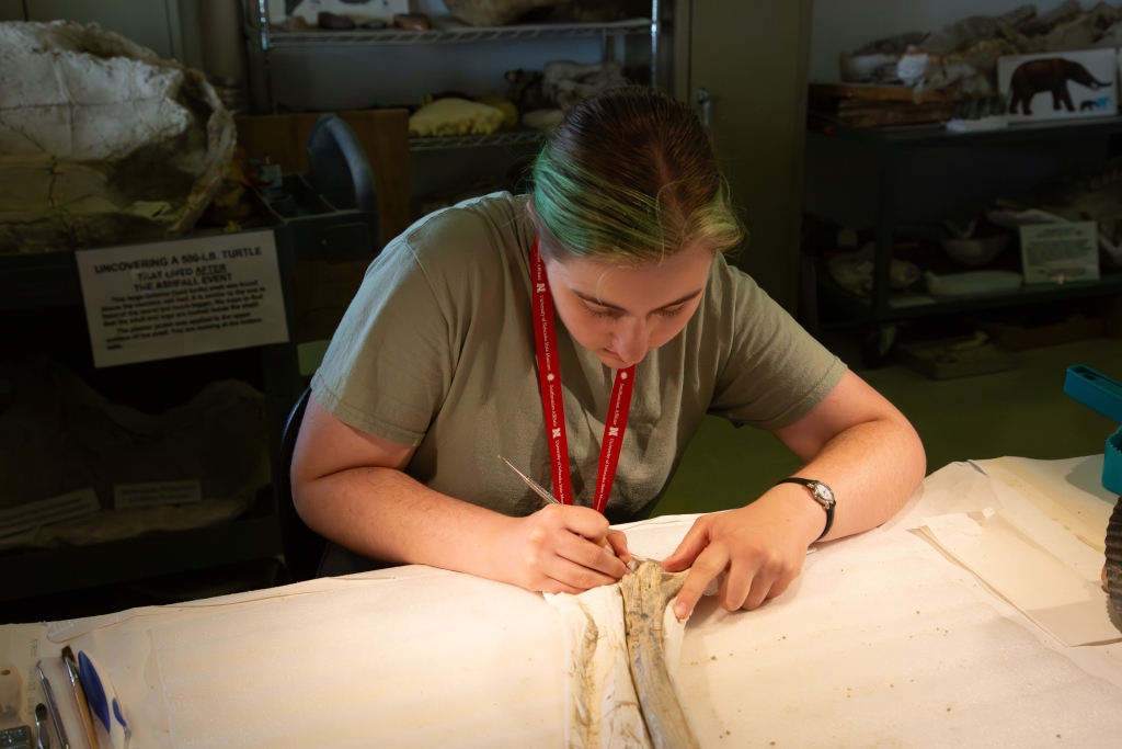 Rowan Hulpke bent over a large fossil bone supported in a foam cradle, scraping glue from a crevice with a fine dental pick.