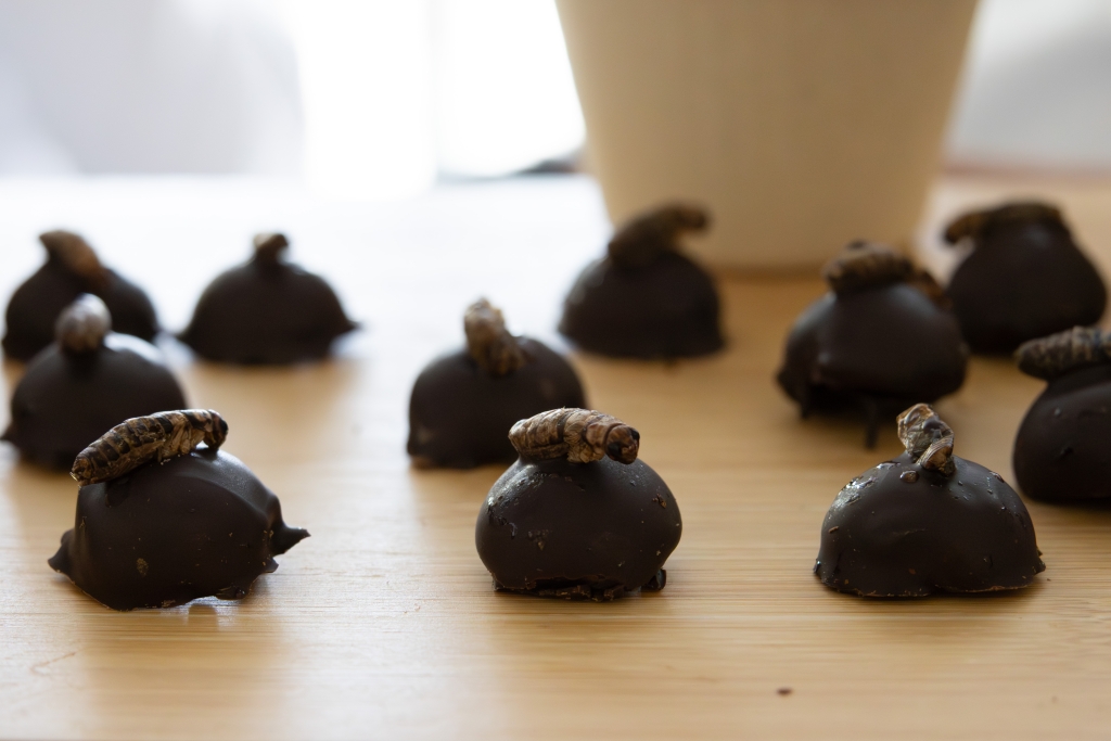 Rows of dark chocolate-covered nougat bonbons on a wooden board, each topped with a whole cricket.