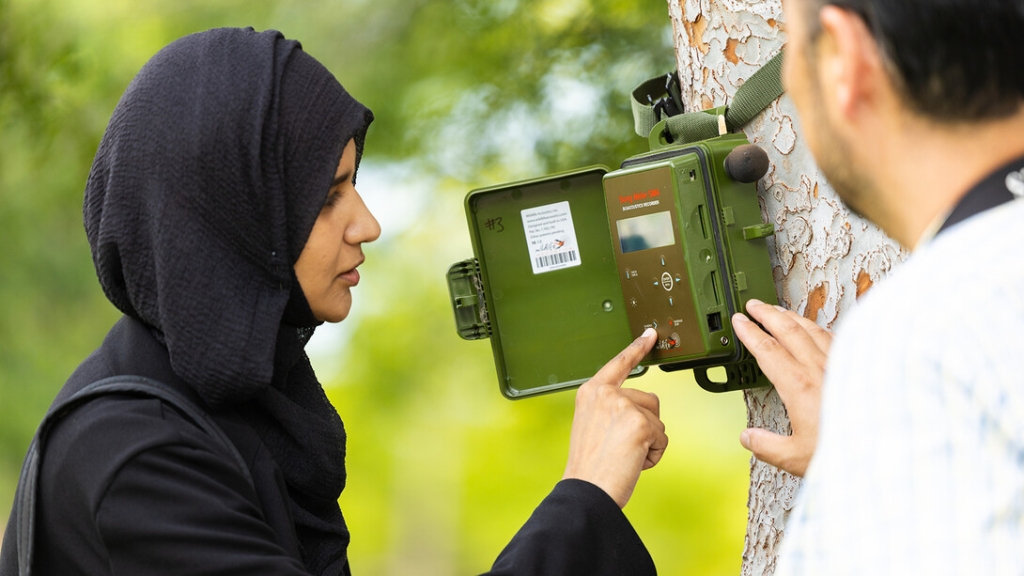 A woman in a black hijab and jacket pushes a button on a device in a green box with a microphone sticking out of the side. The box has text that reads "Song Meter SM4, Bioacoustic Recorder" and is strapped to a tree trunk. A man stands to her right.